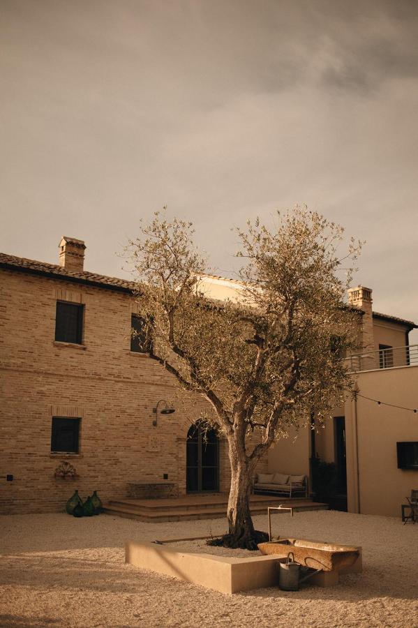 Bed and Breakfast Casale Tre Gelsi Чинголи Экстерьер фото